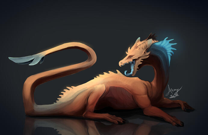 Dragon Concept