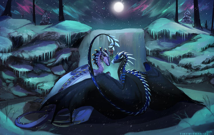In the Winter